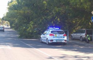 Клон от дърво се стовари на пътното платно на изхода от квартал „Тракия”