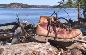 53 места в Шуменско в инициативата „Да изчистим България заедно“ (списък)