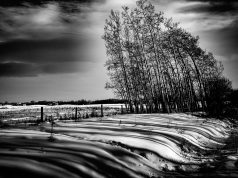 Валежи от дъжд и сняг, вятърът ще вилнее и днес (карта)