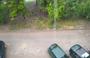 След бурята: Две пропаднали коли, наводнени мазета, паднало дърво