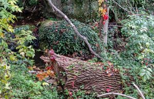 Необичайно топлото време продължава с температури до 26 градуса