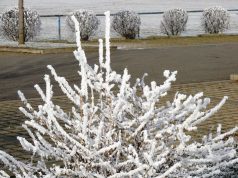 Синоптичната обстановка в страната се усложнява