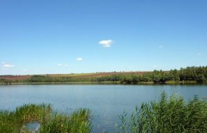 Провериха сигнал за замърсяване на язовир „Съединение“