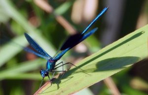 Слънчево и горещо