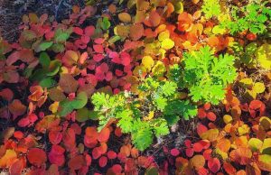 Повече слънце днес