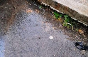 Сигналът: Близо 20 дни спукана тръба наводнява улица в село Изгрев