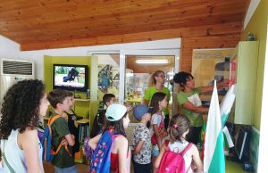 Летни занимания за деца сред природата