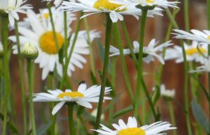 Горещ ден, над отделни места ще превали и прегърми