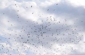 Казаха „Сбогом!“ в последния ден на август! (видео)