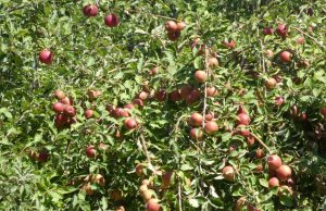 Слънце и облаци ще се редуват в петък