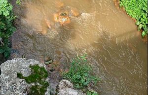 По сигнал: Проверяват за замърсяване водите на река Поройна