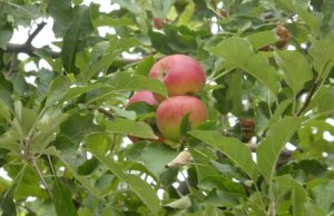 Слънце и облаци ще се редуват в първия ден на седмицата