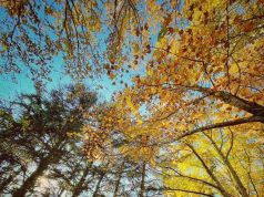 Седмицата започва със слънце, но по-ниски температури