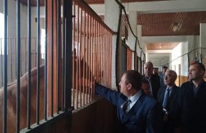 600 000 лева са отпуснати на конезавода „Кабиюк“