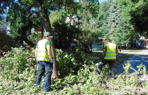 Разчистват падналите дървета и клони в областния град