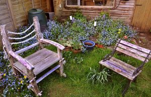 Начини да подобрите неприкосновеността на личния живот в съвременна градина и да я направите по-релаксираща