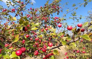 Летни жеги в празничния ден