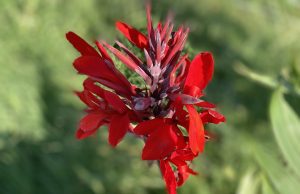 Слънчева и топла събота