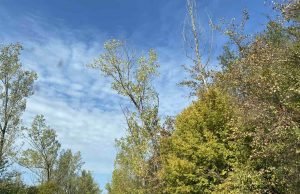 Затопля се, на места температурите ще стигнат до 32 градуса