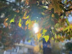 Мъгливо утро, слънце през деня