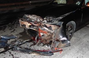 Диво прасе предизвика катастрофа