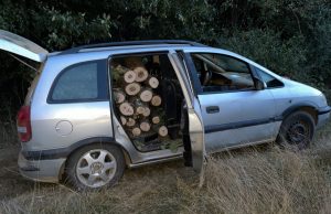 Горски служители и полицаи спипаха незаконни дърва, конфискуваха и кола