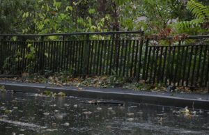 Жена пострада от бурята, над 40 сигнала са подадени в Шумен