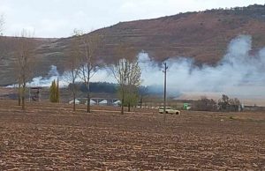 37-годишен е в ареста за палеж край Каспичан, огнеборците спасиха 10 дка борова гора