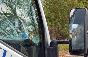 Спипаха пиян каруцар с 2.54 промила, тираджия отнесе акт, шофирал със счупено предно стъкло