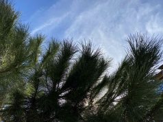 Слънчев, но студен понеделник