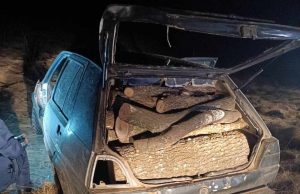 Иззеха автомобил пълен с крадени дърва, в дома на собственика му откриха още немаркирана дървесина