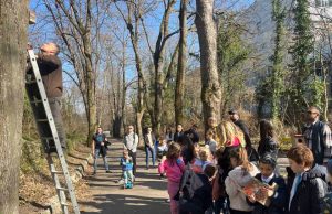 Нови къщички за птици на Платото