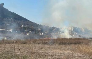 Пожар пламна край шуменското езеро