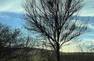 И днес ще се радваме на слънчево и топло време