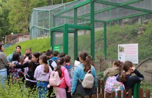 Ученици на беседа в общинския зоокът „Кьошковете“
