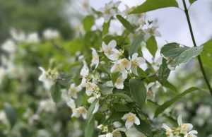 Предимно слънчево, живакът тръгва нагоре