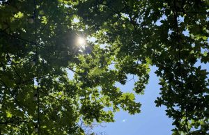 Слънчева и топла неделя