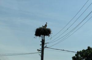 Населени места с прекъсване на електроенергията