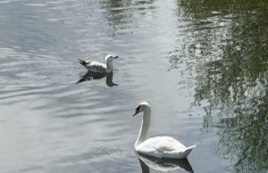 Жега и днес, в 14 области е обявен жълт код