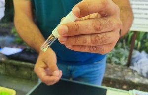 Близо 10% от тестваните водачи в областта с положителна за наркотици проба