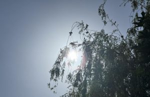 Слънчево време, живакът ще се покачи до 33°