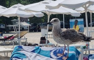 Слънчево време, дъжд – на югоизток, силен вятър – на югоизток