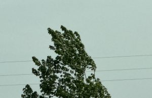 Слънчево време, на места ще бъде ветровито