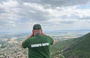 Трима експерти от зоопарка във Варна започнаха търсене на пантерата