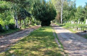 Почистват Гробищния парк за Архангелова задушница