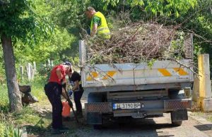 Почистват гробищните паркове в Шумен и „Дивдядово“