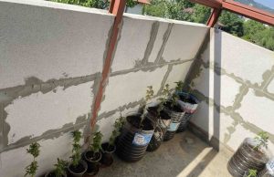 Задържаха шуменец, отглеждал канабис в дома си