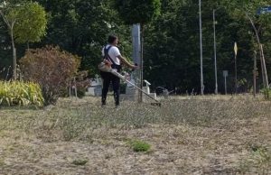 Кастрят клони по шуменски улици, окосяват и тревните площи