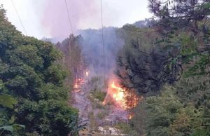 Областният управител благодари на огнеборците и доброволците за потушаването на пожара на Платото