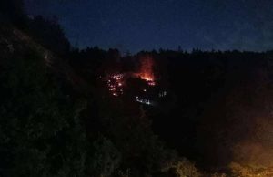 Човешка небрежност е причината за пожара на Платото, огънят погълна 20 дка гора